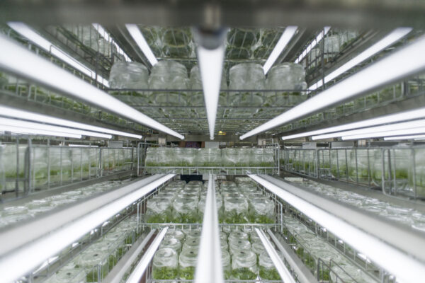 AGROMILLORA IBERIA SL - Imagen 3