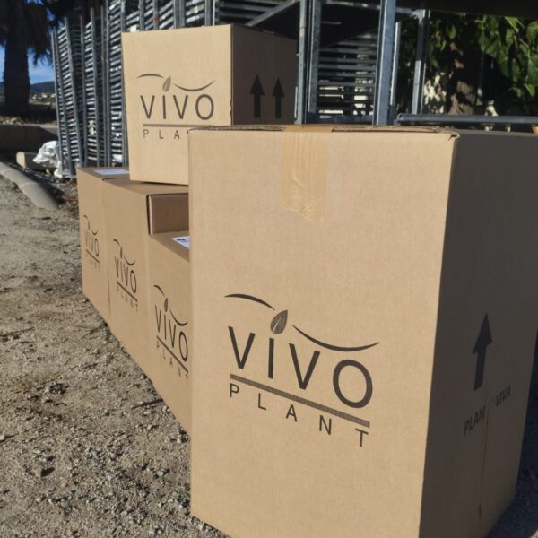 VIVOPLANT S.L.