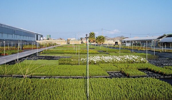 MARESME PLANTELES SL