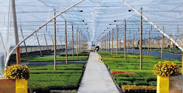 MARESME PLANTELES SL - Imagen 2