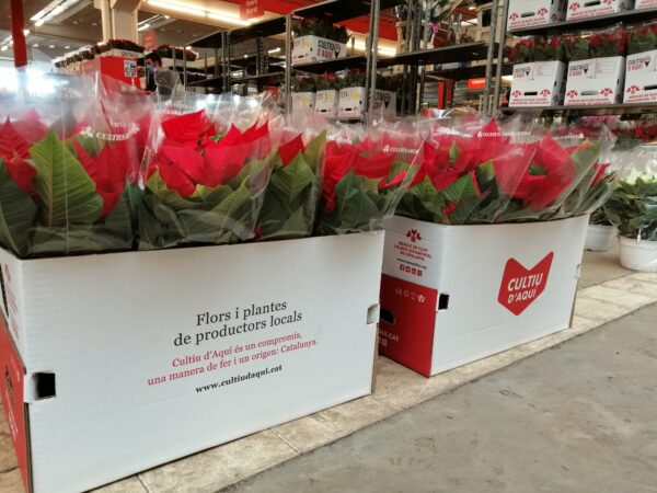 MERCAT DE FLOR I PLANTA ORNAMENTAL DE CATALUNYA SAT - Imagen 5