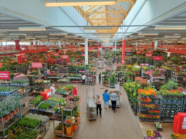 MERCAT DE FLOR I PLANTA ORNAMENTAL DE CATALUNYA SAT