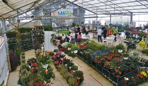 POLEPLANTS SL