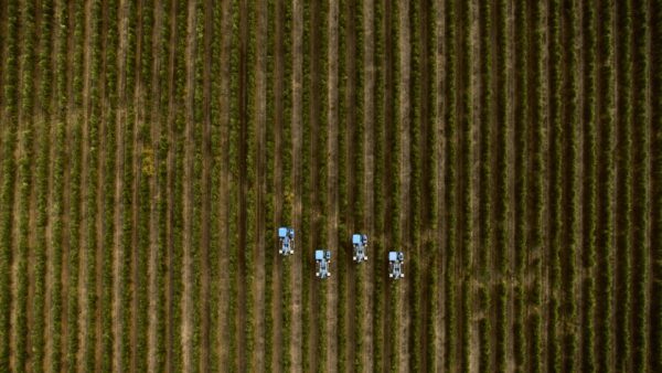 AGROMILLORA IBERIA SL - Imagen 5