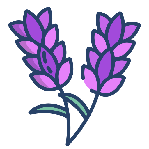 Planta aromática