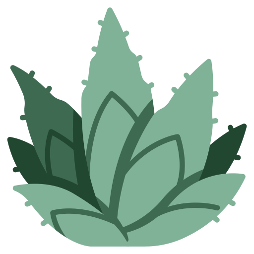 Planta crasa