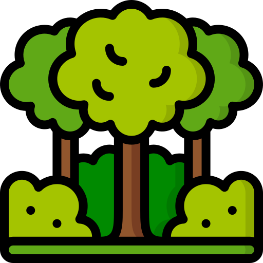 Planta forestal