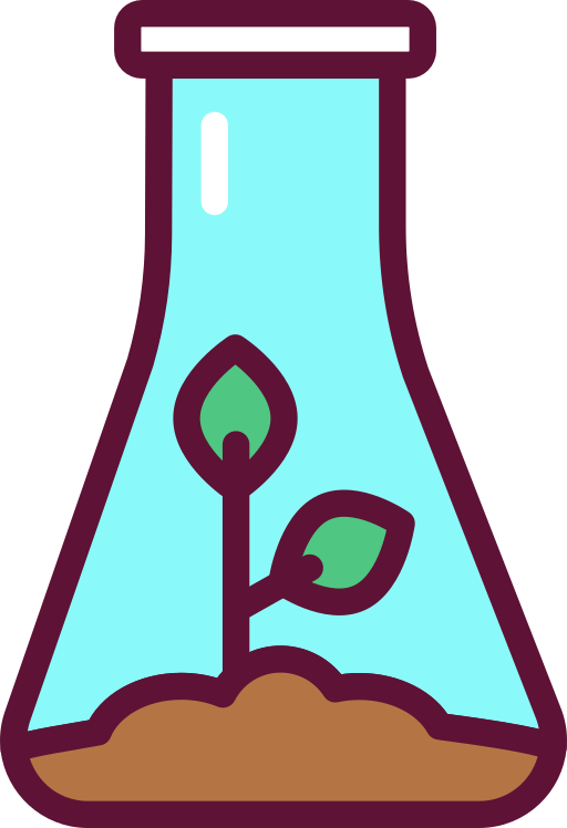 Cultivo In vitro