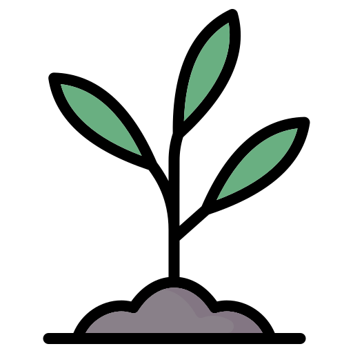 Olivo