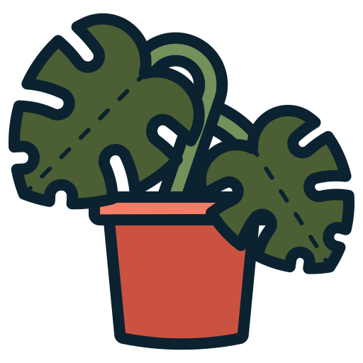 Planta de sombra