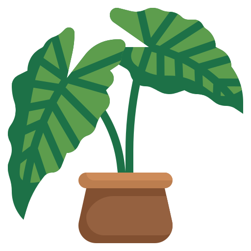 Planta de interior
