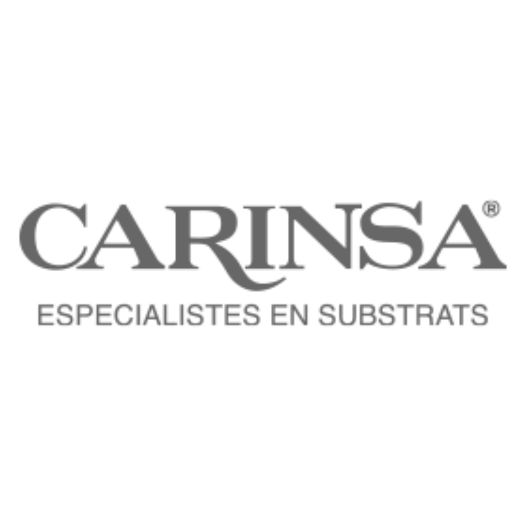 carinsa