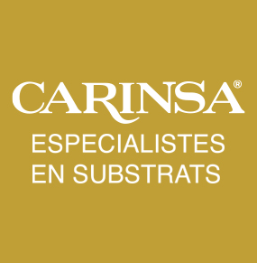 BANNER-CARINSA-SLOGAN-GRANDE-COLOR.jpg